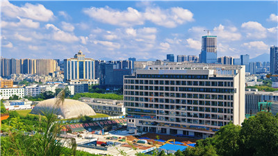独特魅力，绿意盎然的茶香之旅